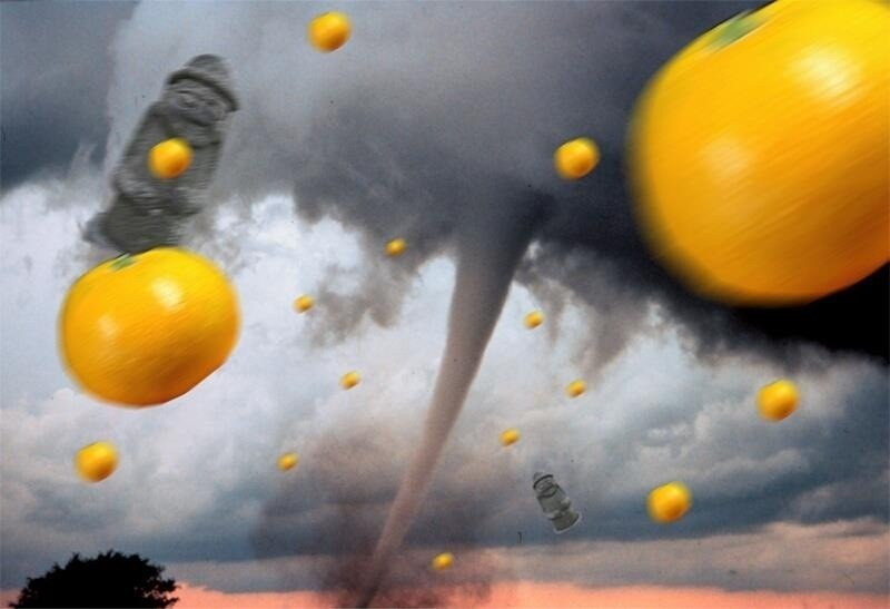 갑자기 태풍이?!