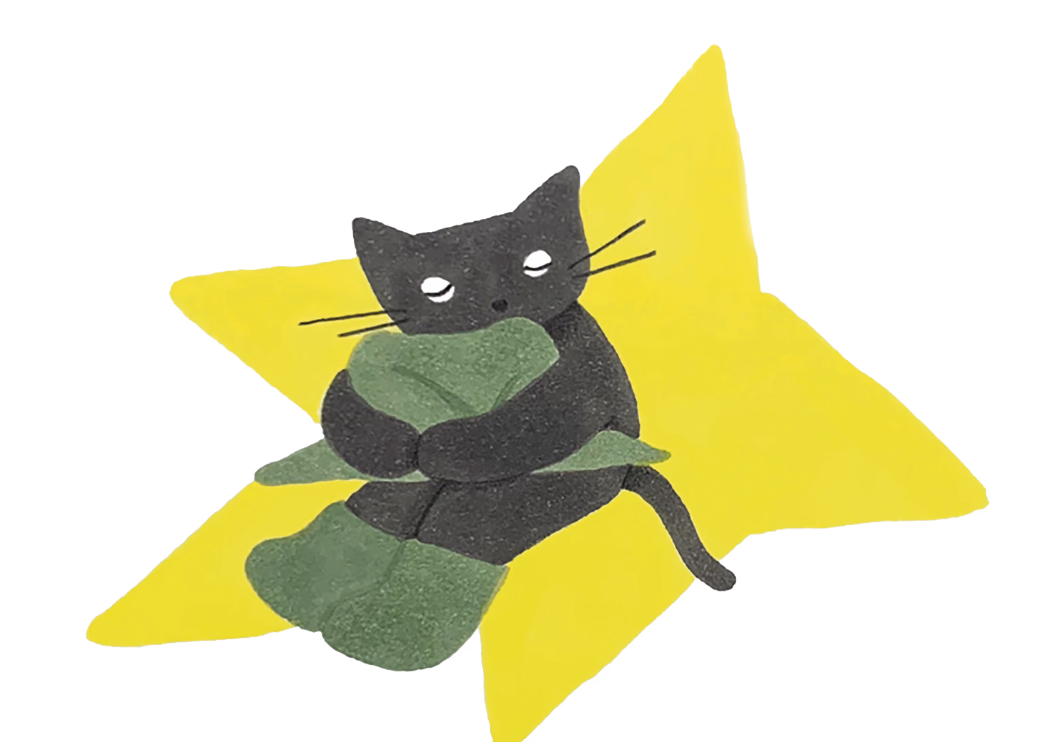 토츠카 미사코, 고양이와 별