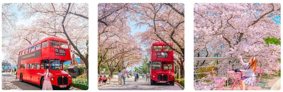 출처 : 대구 이월드 홈페이지