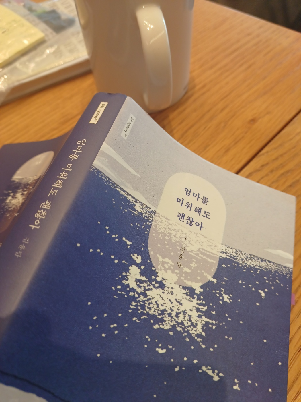 엄마를 미워해도 괜찮아 (김윤담)_천유 의 썸네일 이미지