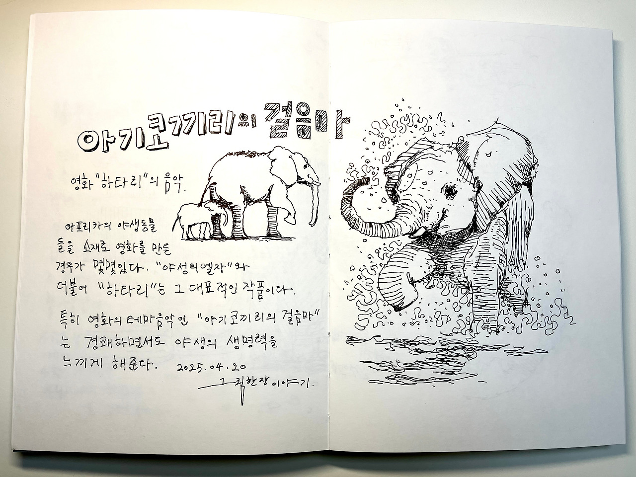 영화 속 아프리카와 음악의 썸네일 이미지