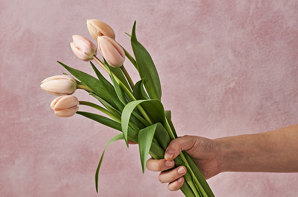 마켓컬리 농부의 꽃의 썸네일 이미지