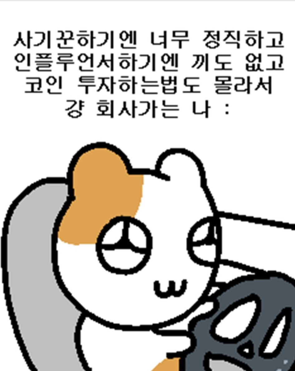 출처 : 햄깅(@hemginsta)
