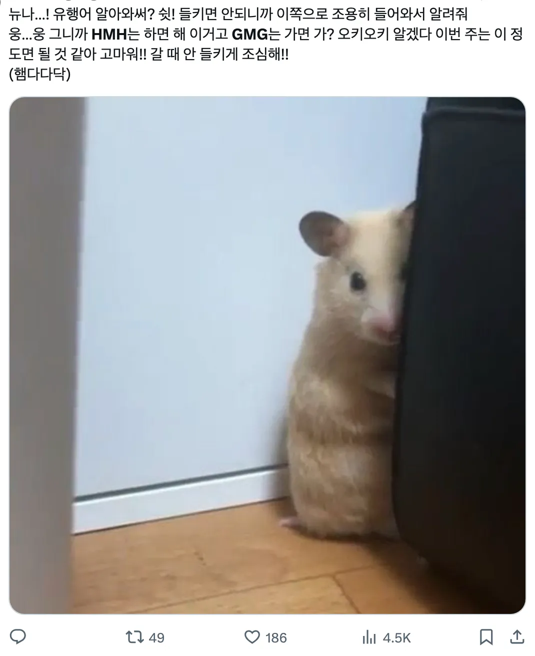 이미지 = X 캡처 (https://x.com/gangchiwalwal/status/1934623128854184211)