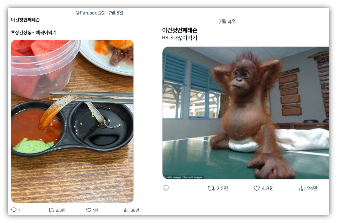 출처 : X(트위터) @Parasect22, @kyubalnom