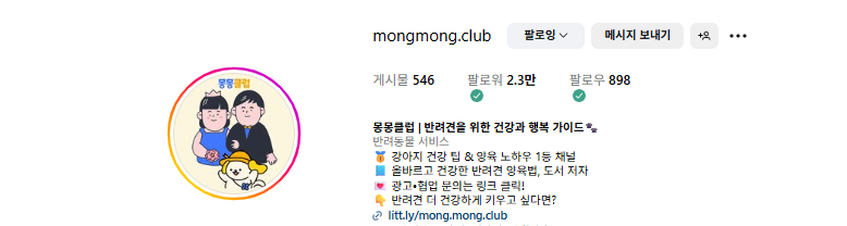 - 처음으로 키웠던 견주들을 위한 '몽몽클럽' 계정 -