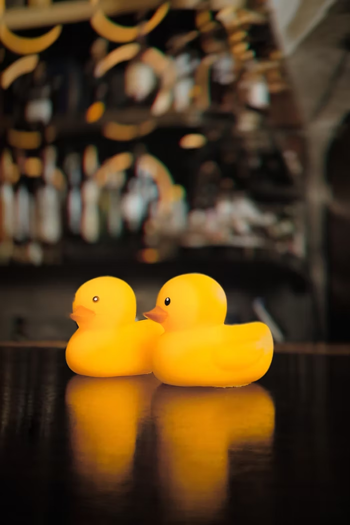 사진출처 unsplash