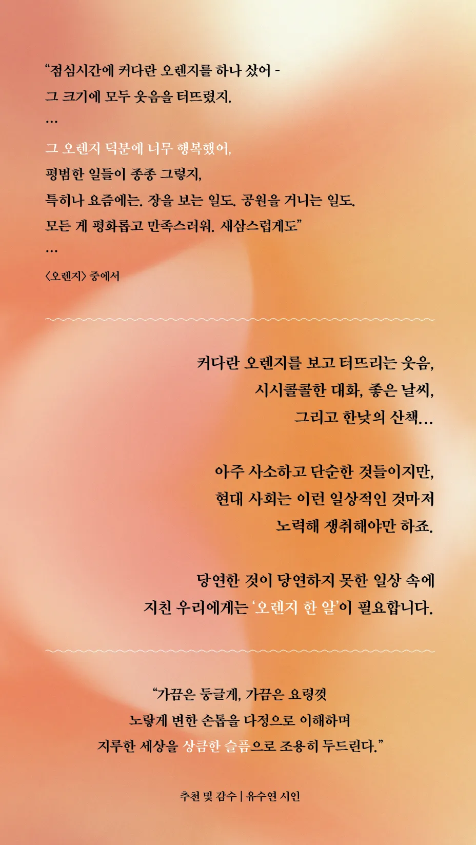 이미지 = 윌마 제공