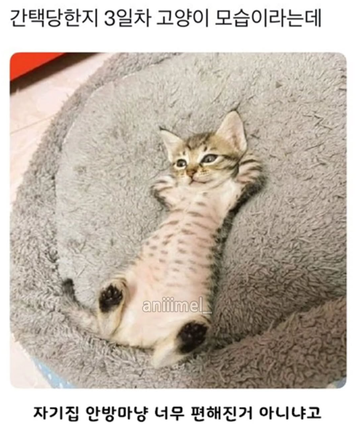 9월이 되었습니다!의 썸네일 이미지