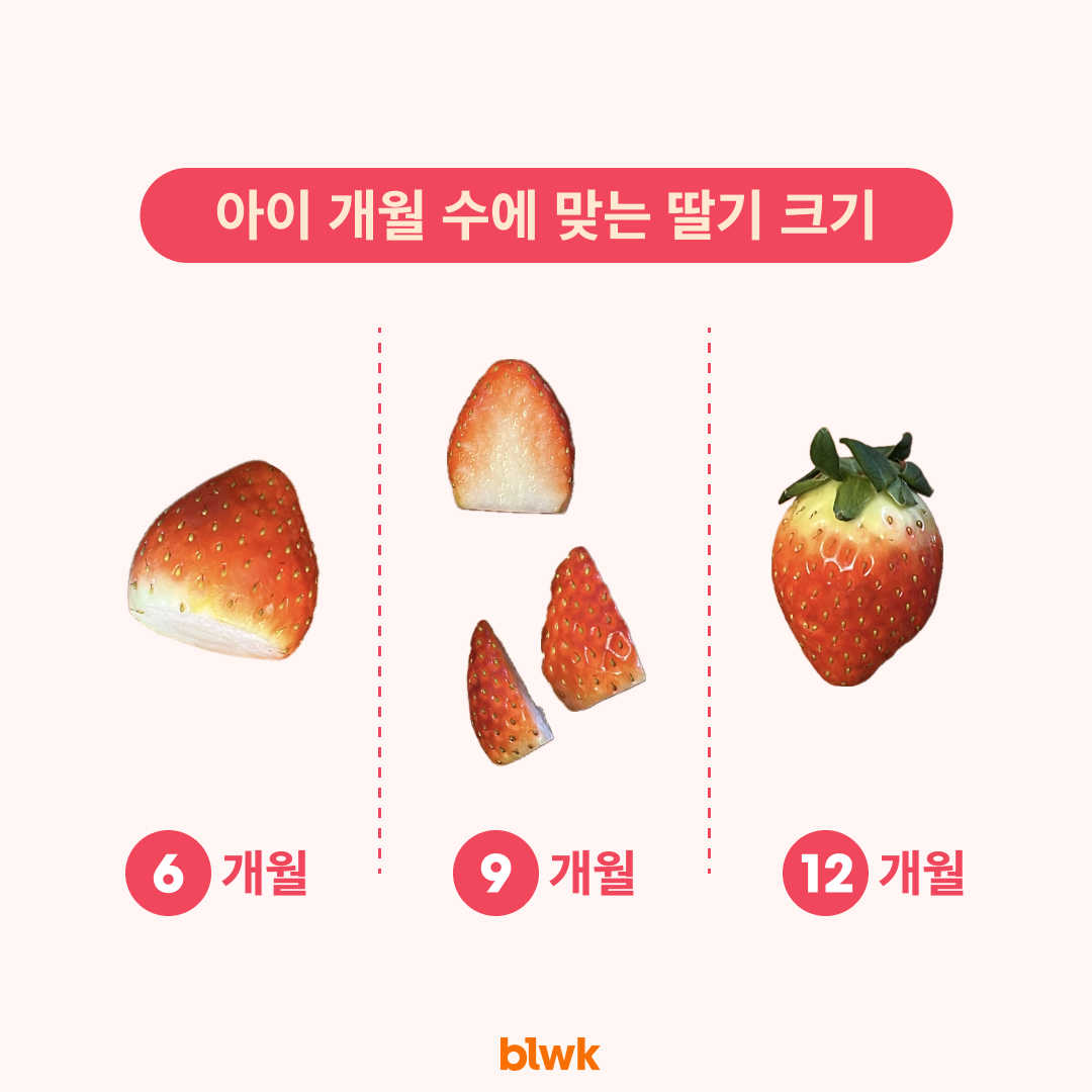 🧡 [블룩] 우리 아이와 함께 자라는 식탁 이야기의 썸네일 이미지