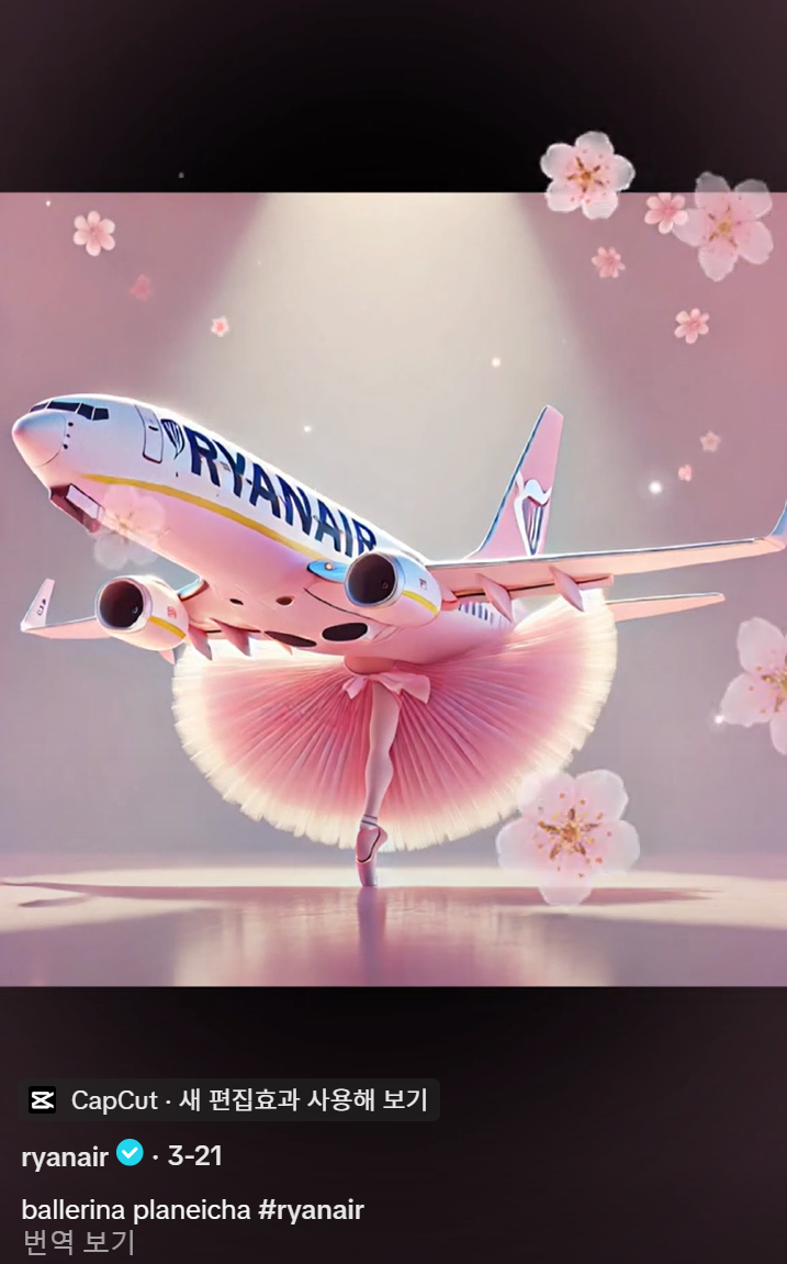 출처: TikTok @ryanair