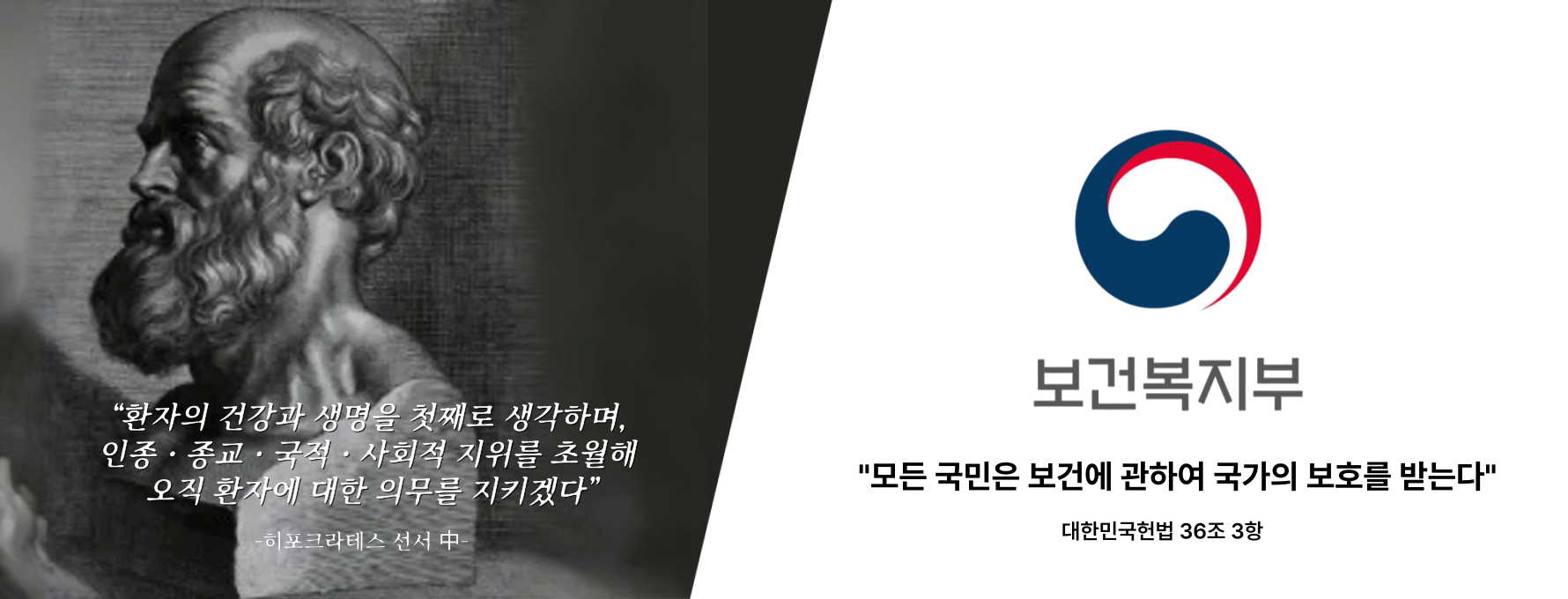 ⓒ리드나잇 자체제작