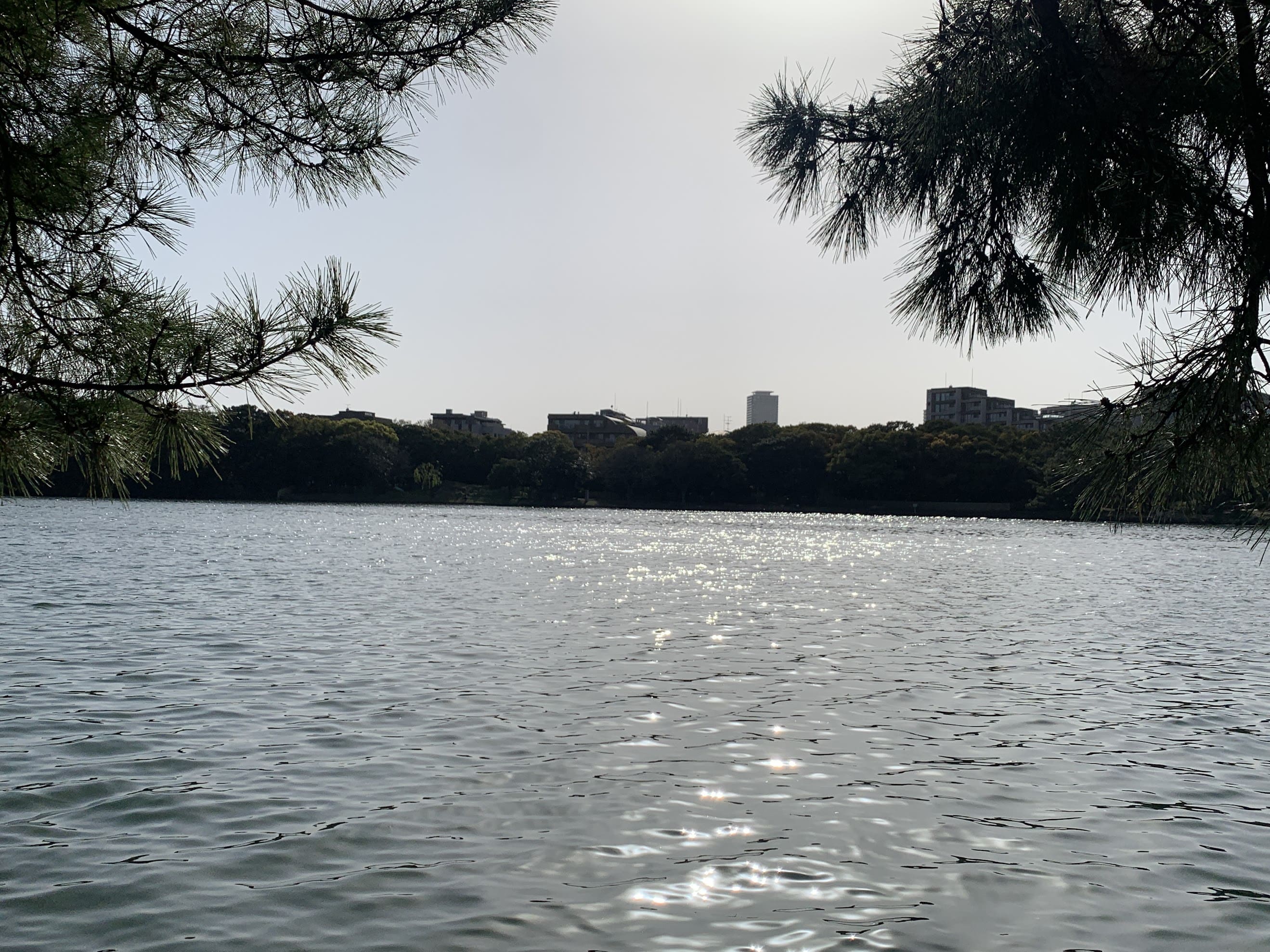 ✉️🐚 에피레터 2.0 - 여가와 휴식은 어떻게 다를까?의 썸네일 이미지