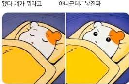 말은 잘 하지만 내면은 여전히...