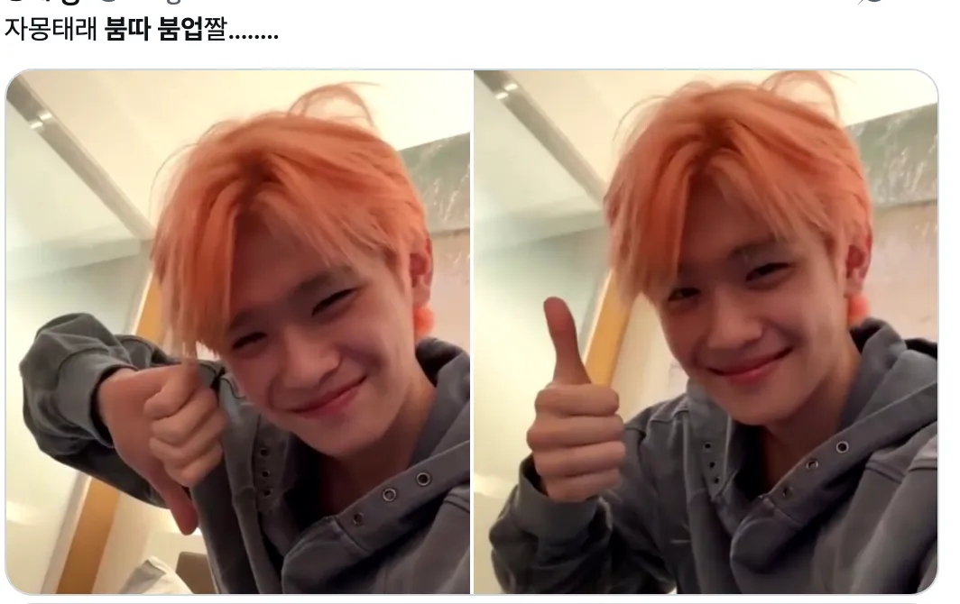 이미지 = X 캡처 (https://x.com/kongchae6/status/1940045378495103259)