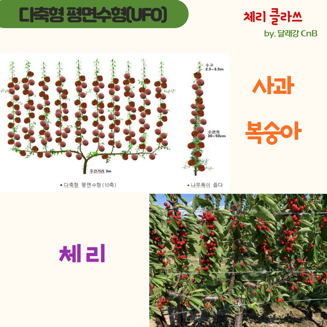 트렌드로 떠오른 다축형 평면수형 스마트과원의 썸네일 이미지