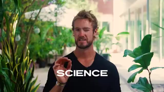 (출처: Rian Doris의 유튜브)