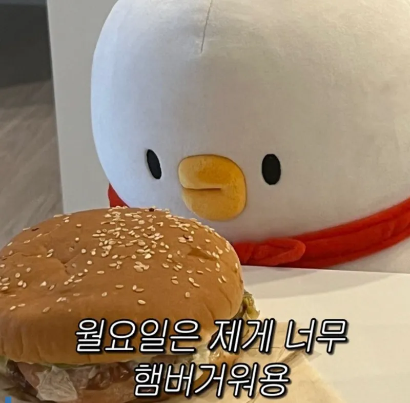 이미지 = 핀터레스트 캡처 (https://kr.pinterest.com/pin/1970393582634868/)