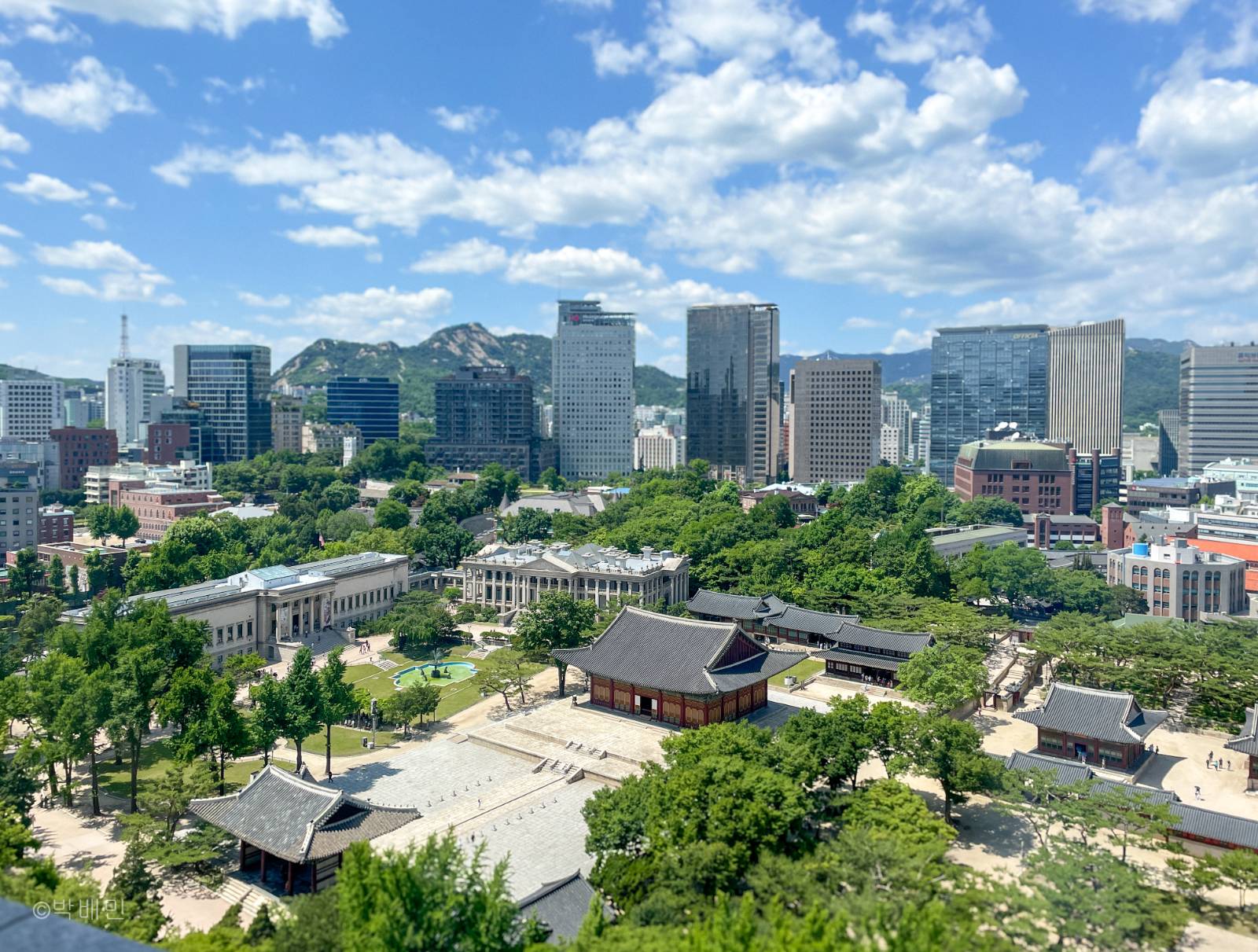 덕수궁전망대에서 내려다 본 덕수궁과 빌딩숲