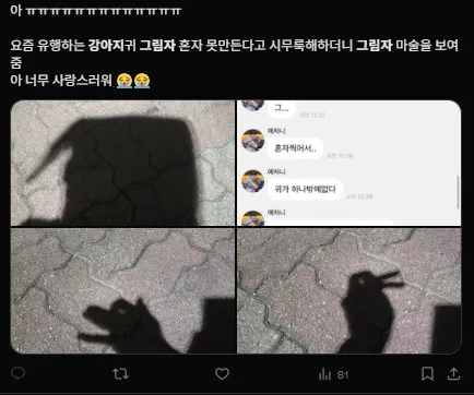 이미지 = X캡처 (https://x.com/foryourmelody/status/1922318381723603202)