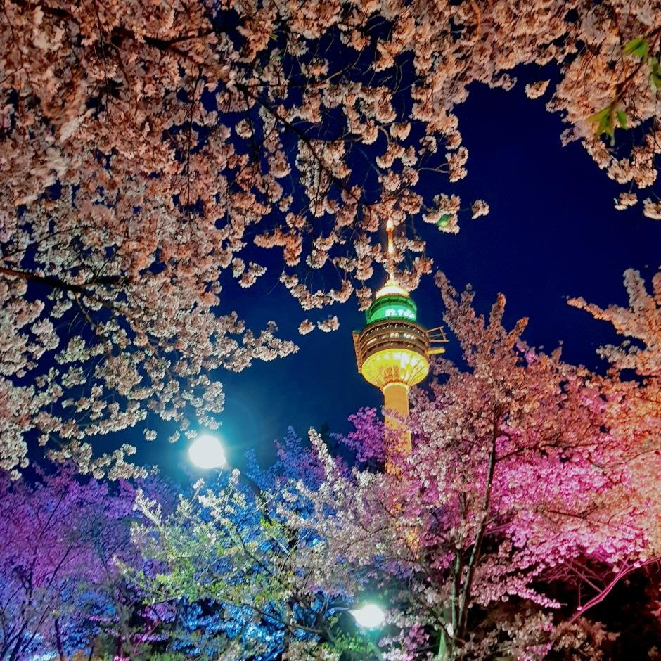 출처 : 대한민국 구석구석