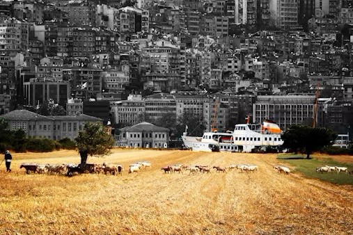 출처: Unsplash