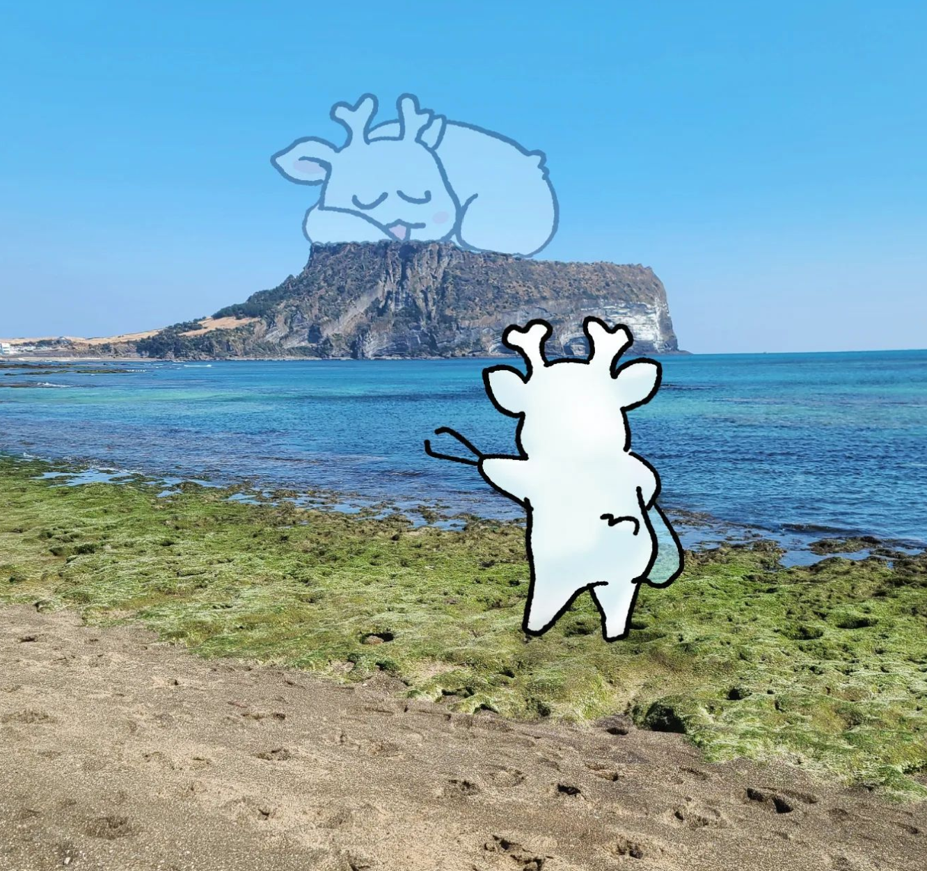 쓰레기 줍다 성산일출봉 위에서 낮잠자는 상상을 하는 필연.jpg