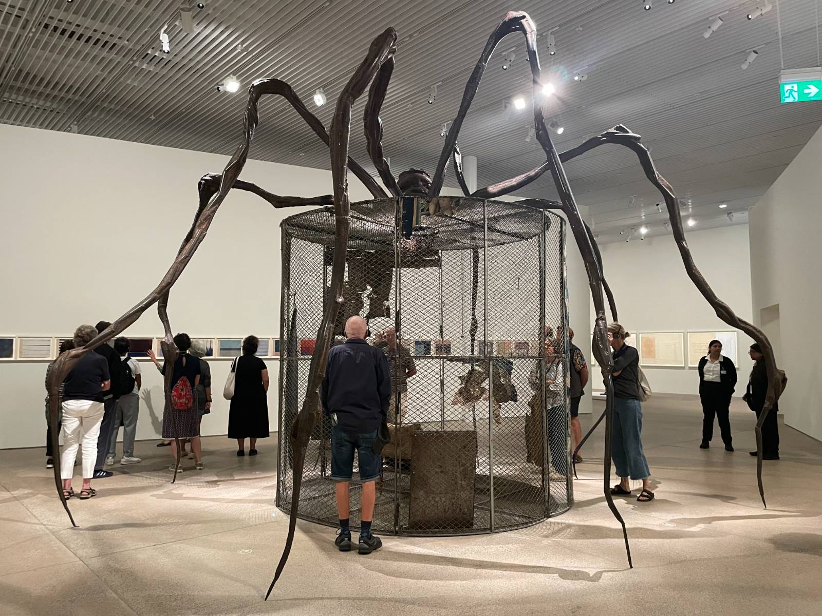 루이스 부르주아 <거미 Spider> 1997, 뉴사우스웨일스 아트 갤러리 AGNSW ⓒ Chloe