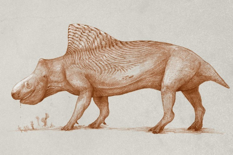 현재 우리가 공룡 화석으로 공룡 모습을 복원하는 방식으로 <br>현재의 생물들을 뼈만 보고 복원한다면 어떤 모습일지를 상상한 그림들이 유행한 적이 있습니다. <br>이 시리즈에서도 코뿔소는 뿔이 없는 모습으로 그려집니다. <br>코뿔소의 뿔은 뼈가 아니기 때문입니다. 