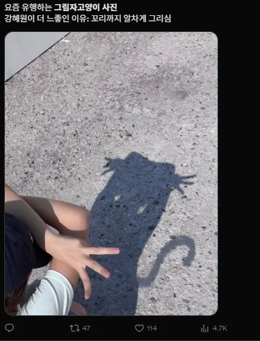 이미지 = X캡처 (https://x.com/onme_hyewon/status/1922081002286981604)