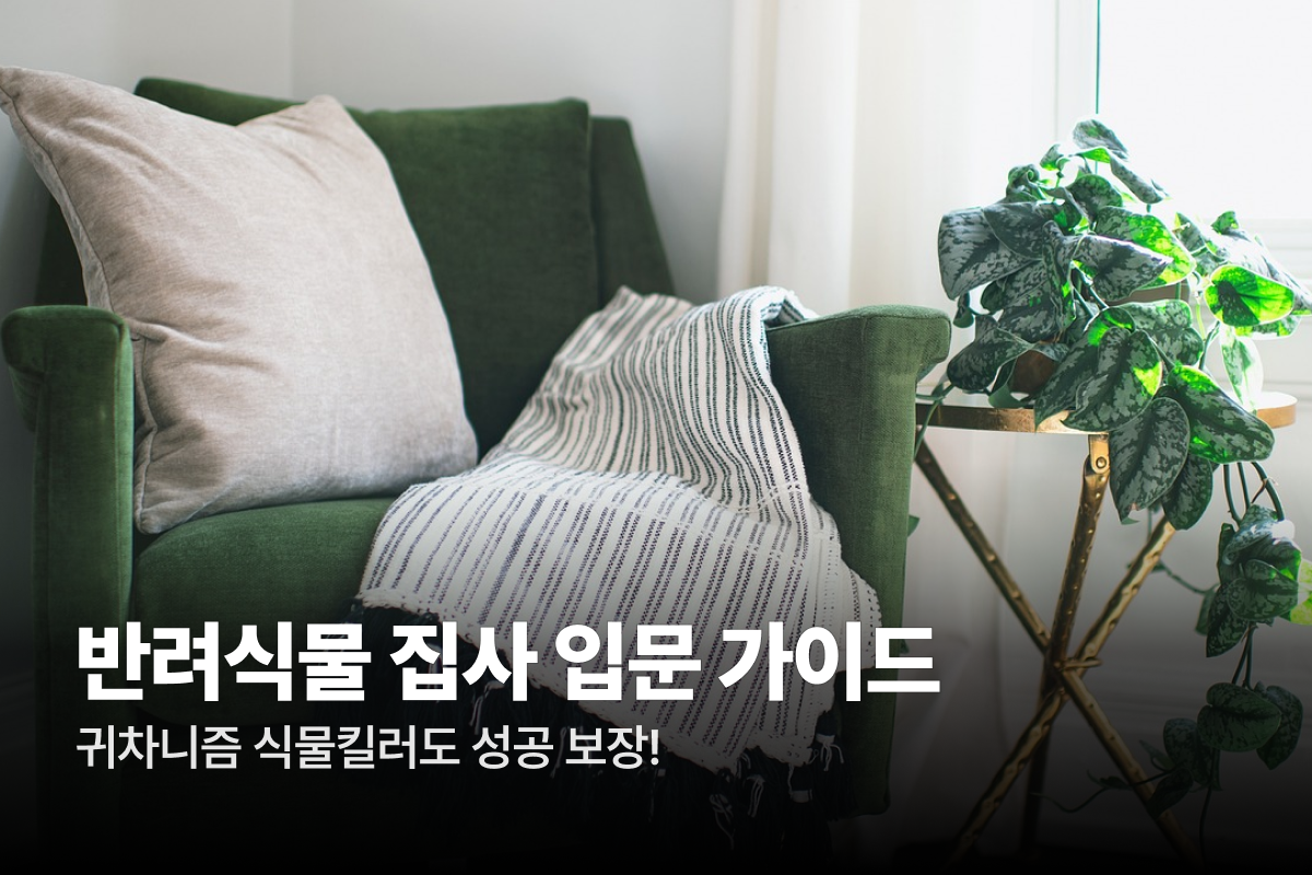 🌿 오늘부터 나도 반려 식물 집사!의 썸네일 이미지