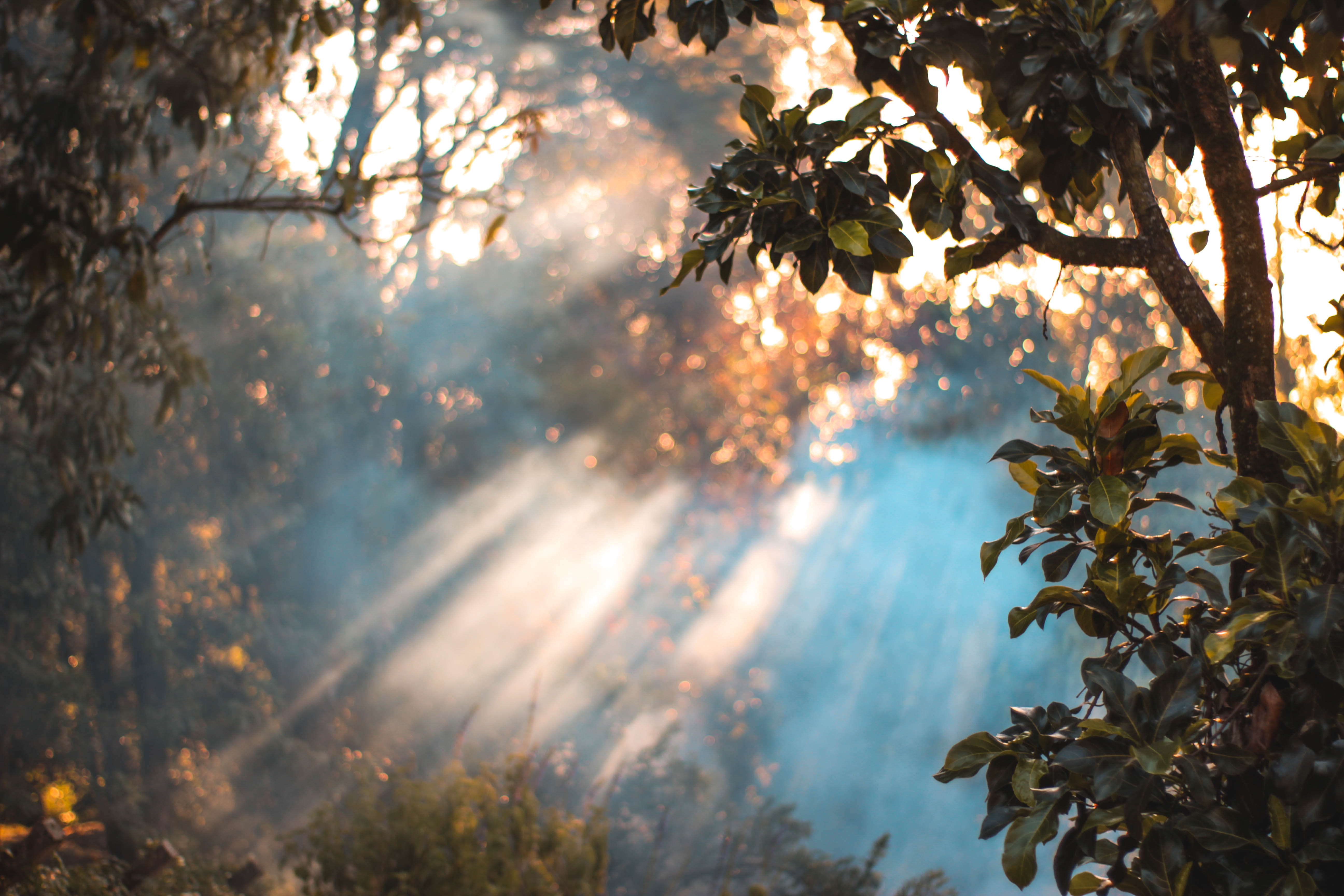 &nbsp; Photo by Raphael Brasileiro on Unsplash