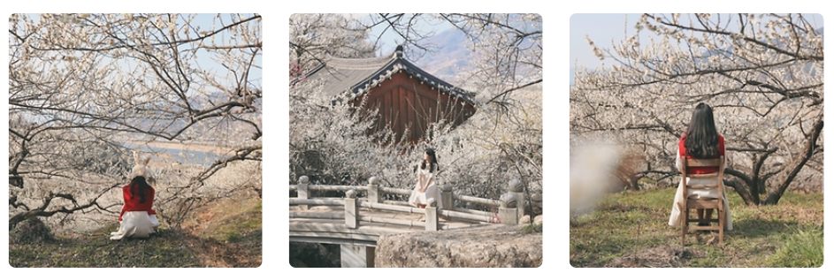 출처 : 대한민국 구석구석