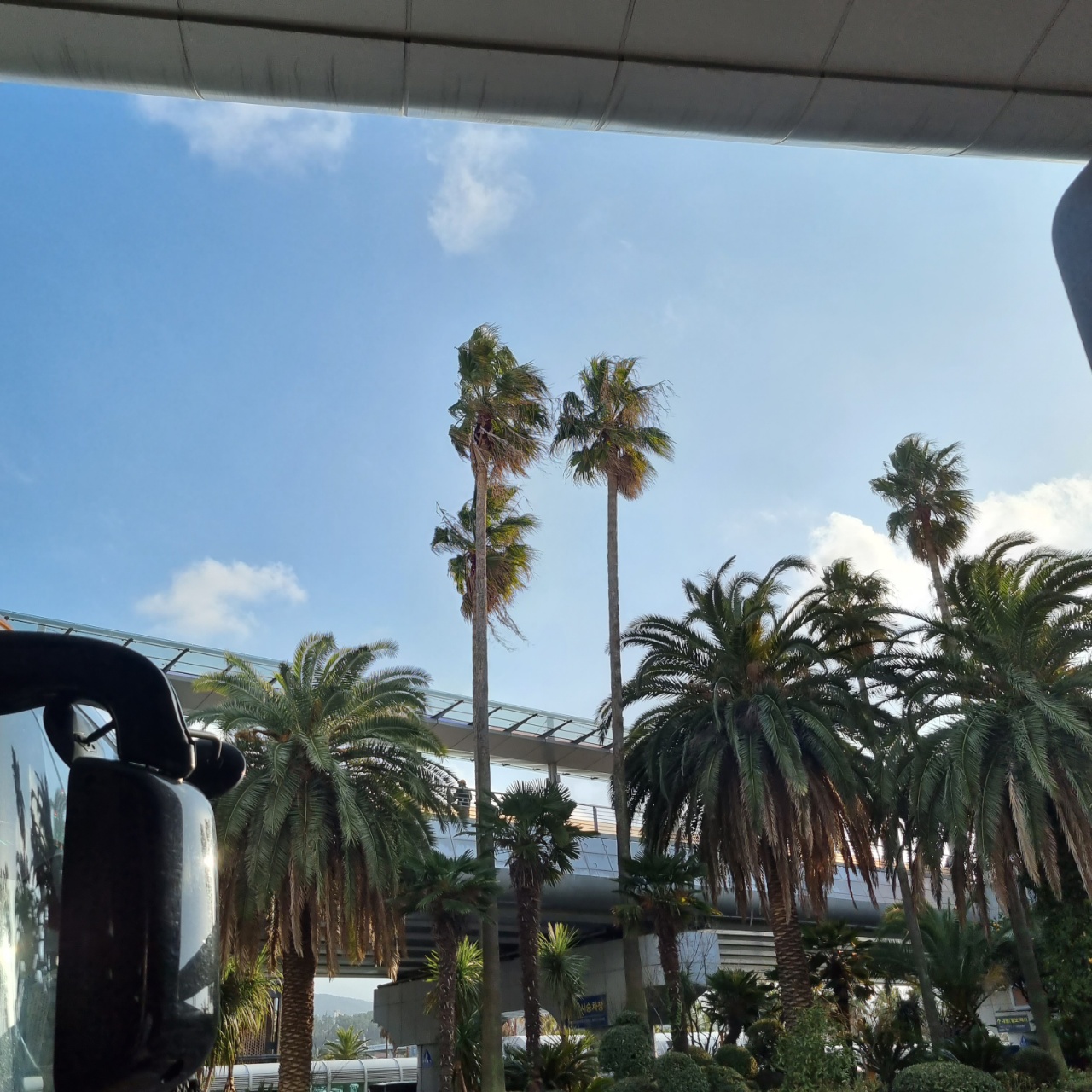 한 시간 뒤의 급행버스를 기다리며...