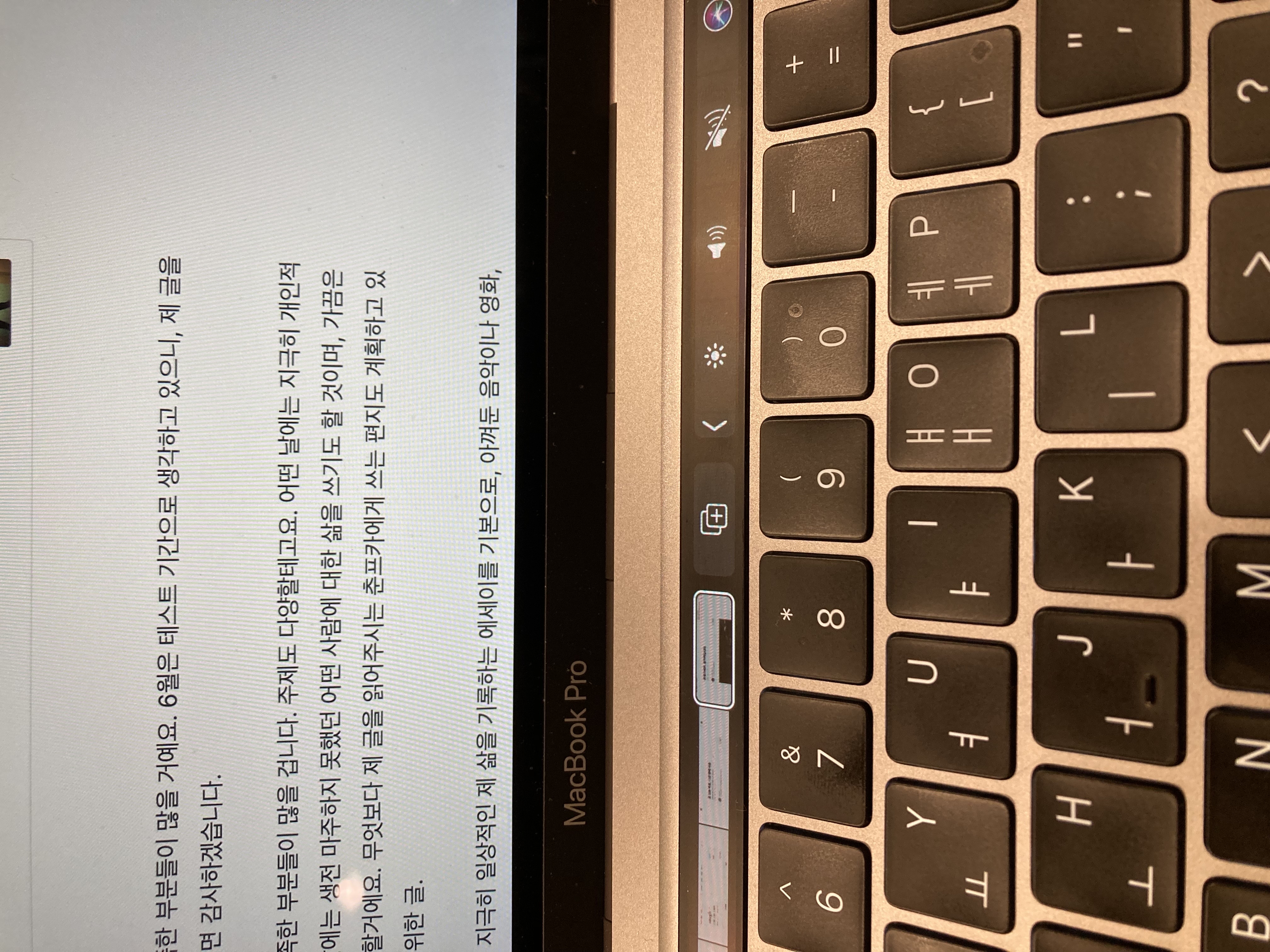 오늘도 씁니다.