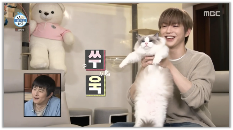 출처 : 나 혼자 산다