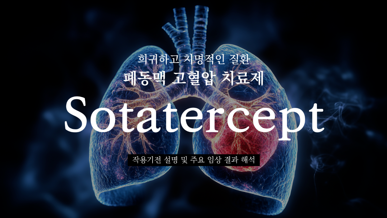 희귀하고 치명적인 폐동맥 고혈압의 혁신 신약, Sotatercept의 썸네일 이미지