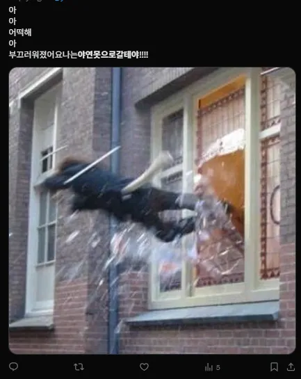 이미지 = X캡처(https://x.com/Vip_Vampire__/status/1955282964012531843)