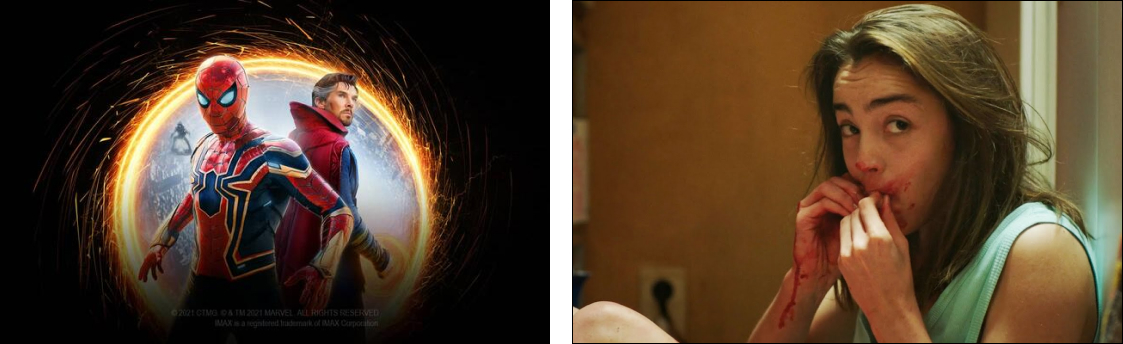 <스파이더맨: 노웨이 홈> & <로우>