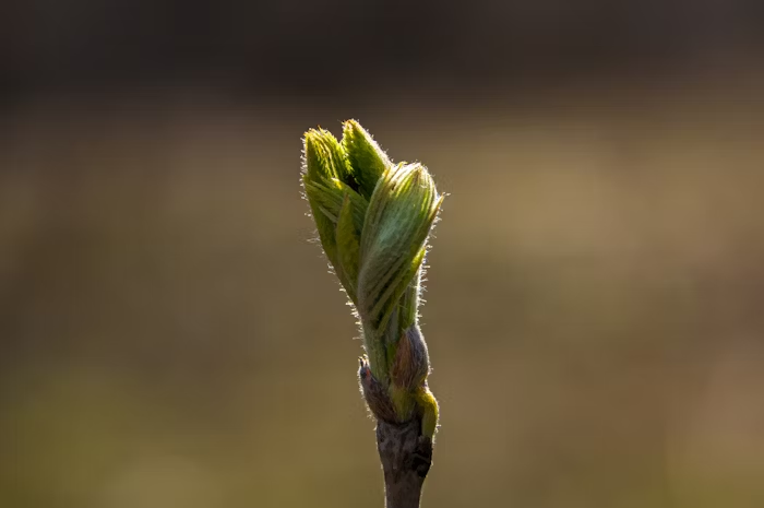 사진출처 unsplash