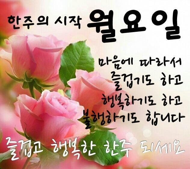 아 이건 아니라고요? 죄송합니다.