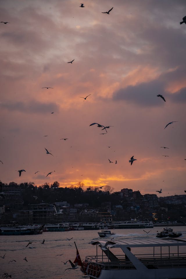 세상-퍼스널브랜딩-나 l 소통의 부재와 오해의 썸네일 이미지