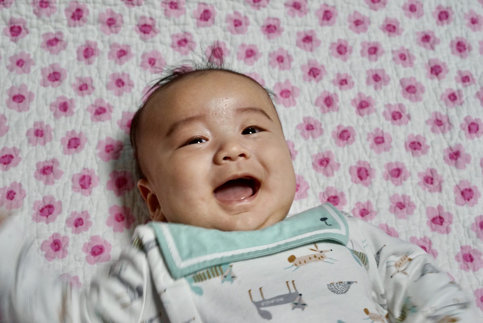 담이는 못생겼는데 잘 웃어요.