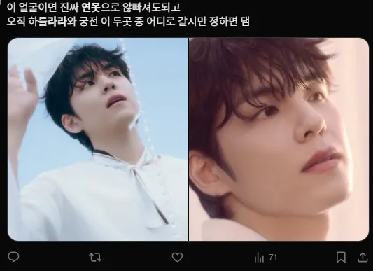 이미지 = X캡처 (https://x.com/loveluvpil/status/1935364167642530038)