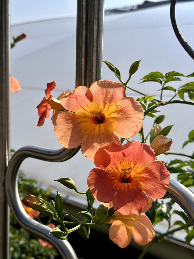 ✉️🐿️ 에피레터 - 편지를 쓰는 마음의 썸네일 이미지