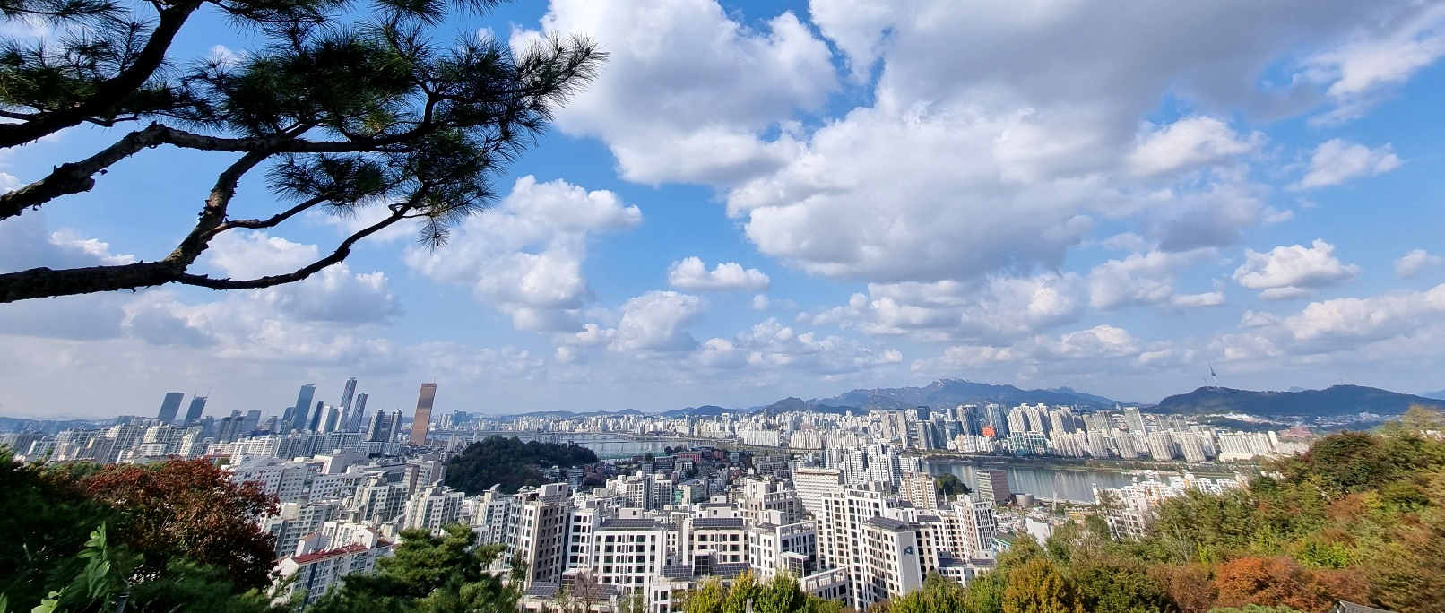 언오피셜 뉴스레터 23. 11. 1주의 썸네일 이미지