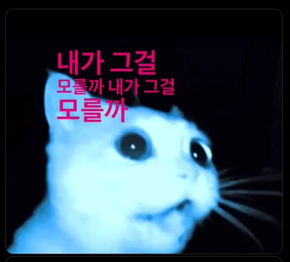 이미지 = X캡처 (https://x.com/h0512_/status/1954437088176181587)