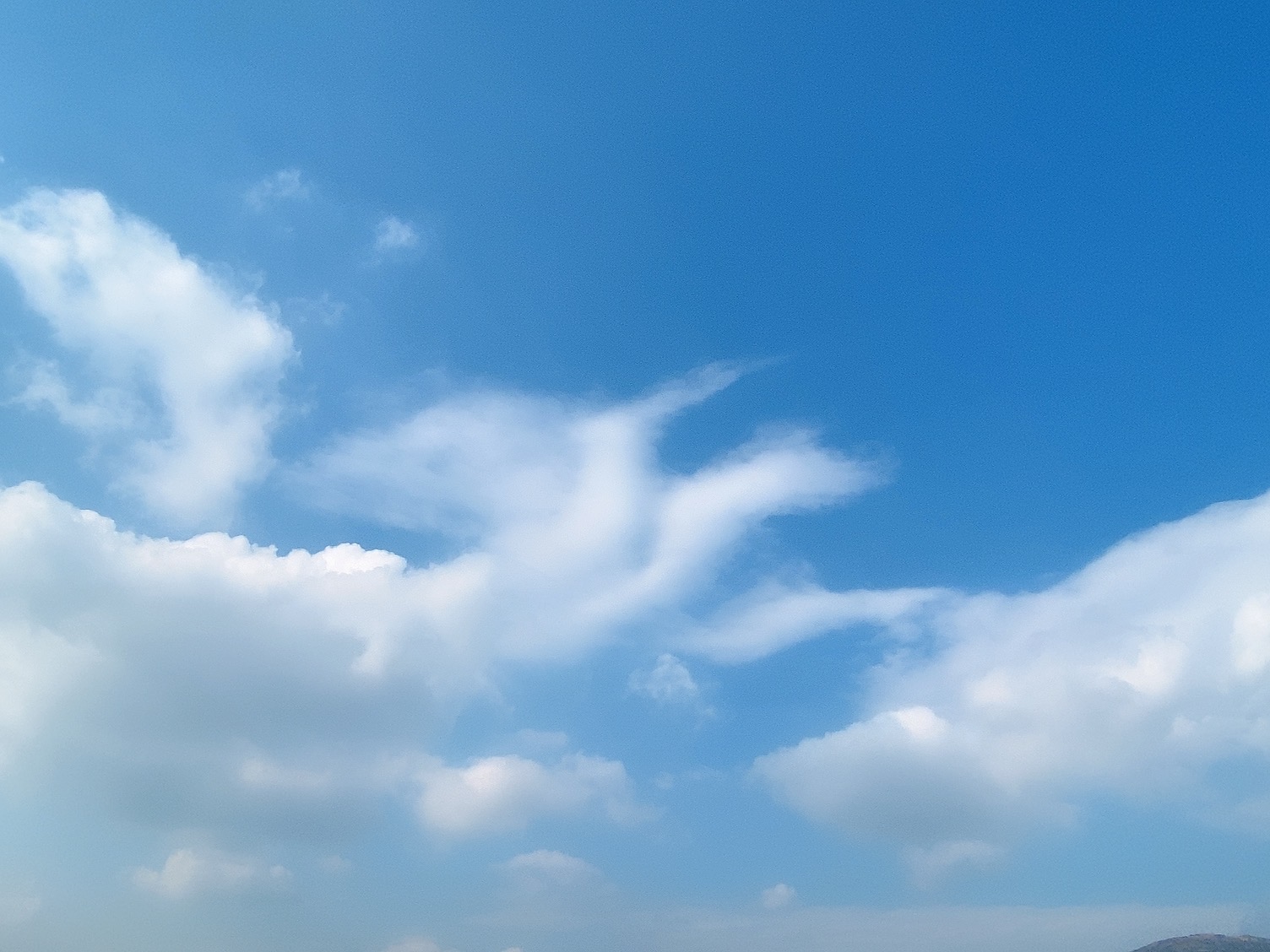 맑은 날의 구름사진(가장 좋아하는 구름 top 3안에 드는 구름)