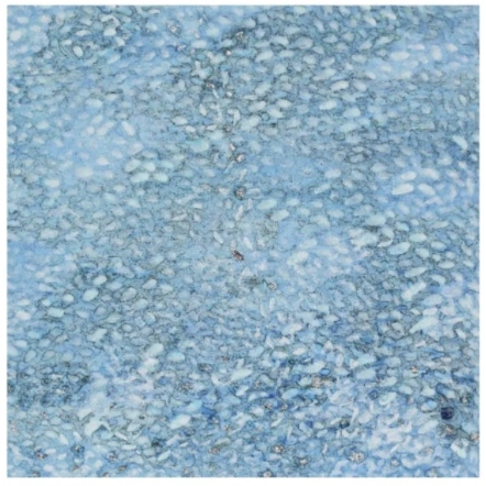 박숙현_ winter, 2017의 썸네일 이미지