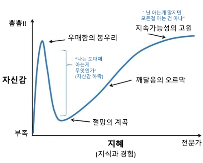 더닝크루거 효과의 대표적인 그래프